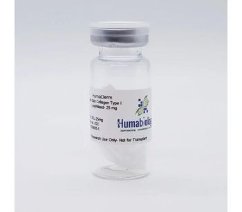 HumaDerm - Model Type I, Lyophilized (SCL) - Human Skin Collagen