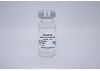 HumaCoat - Model Type I, 1 mg/ml-10 ml (SCS1) - Human Skin Collagen