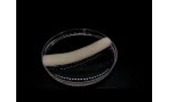 Self Expandable Human collagen tube for regenerative medicine applications - Video