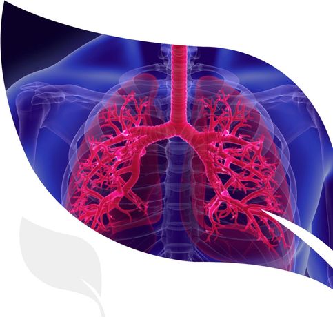 Ibio - Model 100 - Idiopathic Pulmonary Fibrosis [IPF] Therapeutics