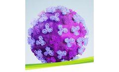 IDT Biologika - Model CDMO - Viral Vaccines