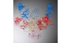 Frontier - Model FB1002 - Novel Broad-Spectrum HIV Neutralizing Antibody