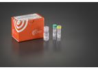 TurboLyse - Model C - 1 ml Cell Culture Protease Mix Kit