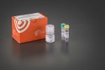 TurboLyse - Model B - (Blood) Protease Mix (1 ml) Kit