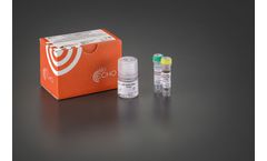 TurboLyse - Model B - (Blood) Protease Mix (1 ml) Kit