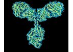 Lys - Model Glunomab / Glunozumab - Monoclonal Antibody