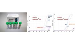 Model MycoQuant Kit - Mycoplasma Detection and Eradication