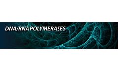 Molecular - DNA/RNA Polymerases