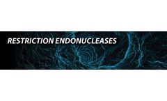 Molecular - Restriction Endonucleases