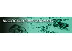 Molecular - Nucleic Acid Purification Kits