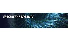 Molecular - Specialty Reagents