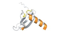 Protein Foundry - Model CXCL12 - PFP001 - Recombinant Human Protein Cell