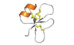 Protein Foundry - Model 2 - PFP066 - Recombinant Human Beta Defensin Protein Cell