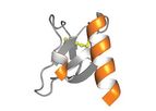 Protein Foundry - Model CCL17 - PFP007 - Recombinant Human Protein Cell