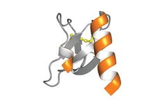 Protein Foundry - Model CCL17 - PFP007 - Recombinant Human Protein Cell