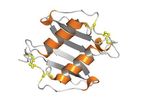 Protein-Foundry - Model CXCL2 -PFP030 - Recombinant Human Protein Cell