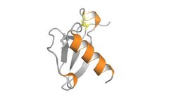 Protein-Foundry - Model CX3CL1 - PFP027 - Recombinant Human Protein Cell