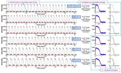 InvivioSciences - Version iVSurfer - Automatic Analysis Software for Periodic Waveforms
