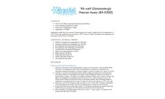 BX-0300 - 96-Well Glutamatergic Neuron Assay - Datasheet