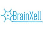 BrainXell - Model BX-0400 - Cortical GABAergic Neurons