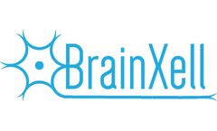 BrainXell - Model BX-0100 - Spinal Motor Neurons