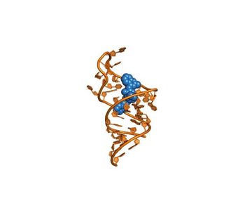 Base4 - Exploiting RNA  Structural Dynamics