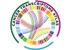 GeoMx - Cancer Transcriptome Atlas RNA Assay