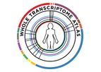 GeoMx - Human Whole Transcriptome Atlas RNA Assay