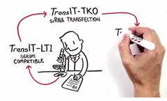 The Simplicity of Transfection - Video