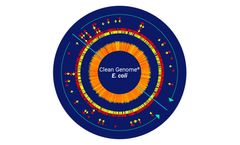Clean Genome - Robust Bacterial Fermentation