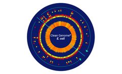 Clean Genome - Robust Bacterial Fermentation