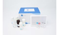 Fine Test - Model EH0001 - Human ALCAM(CD166 Antigen) Elisa Kit