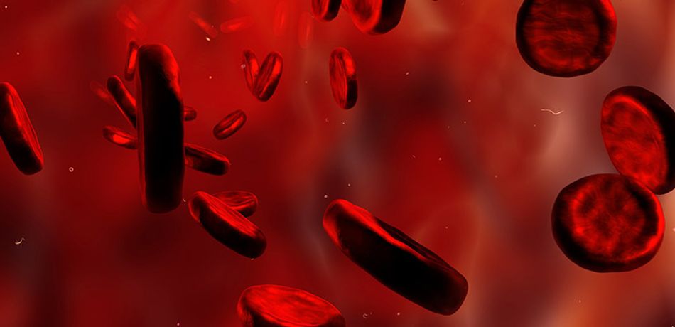 Haematology for Novel Drug Concepts for Blood Diseases