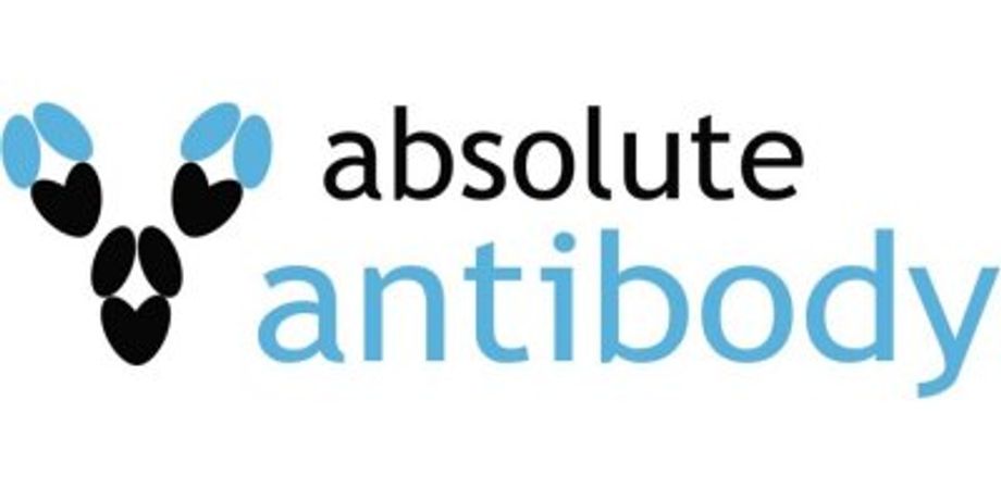Antibody Humanization Service
