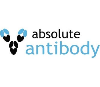 Absolute Antibody - Model 8E11 - Anti-Human IgG Antibody