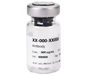 Model AB-306-AA042 - Activin B mAb Antibodies