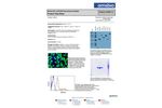 AMSBIO - Model TA50011-5 - Clone OTI4C5, Anti-DDK (FLAG) Monoclonal Antibody Datasheet
