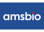 AMSBIO - Model TA50011-1 - Clone OTI4C5, Anti-DDK (FLAG) Monoclonal Antibody