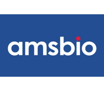 AMSBIO - Model TA150030 - Clone OTI4C5, Anti-DDK (FLAG) Monoclonal Antibody, HRP