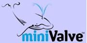 Minivalve International