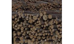 Cameroon - Small Wood Orders Services