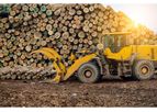 Cameroon - Wood Processing Services
