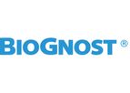 BioGnost - Model TP - Polypropylene Container with a Screw Cap for Histology