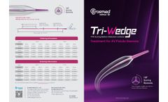 BrosMed - Model Tri-Wedge - PTA Scoring Balloon Dilatation Catheter Brochure