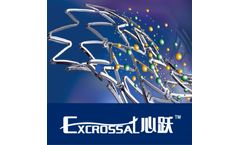 Model Excrossal - Biodegradable Polymer Drug Eluting Stent