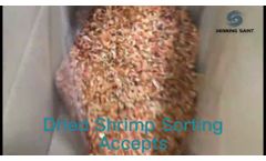 Dried shrimp sorting by HSSL1-600- Video
