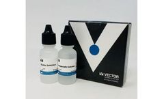 Vector - Model SP-200 - Streptavidin/Biotin Blocking Kit