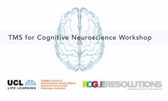 TMS Workshop for Cognitive Neuroscience - Video