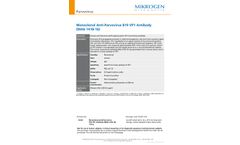 Model MAb 1418-16 - Monoclonal Anti-Parvovirus B19 VP1 Antibody - Datasheet