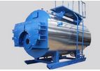 Yongxing - Natural Gas Steam Boiler for Cannery Plant